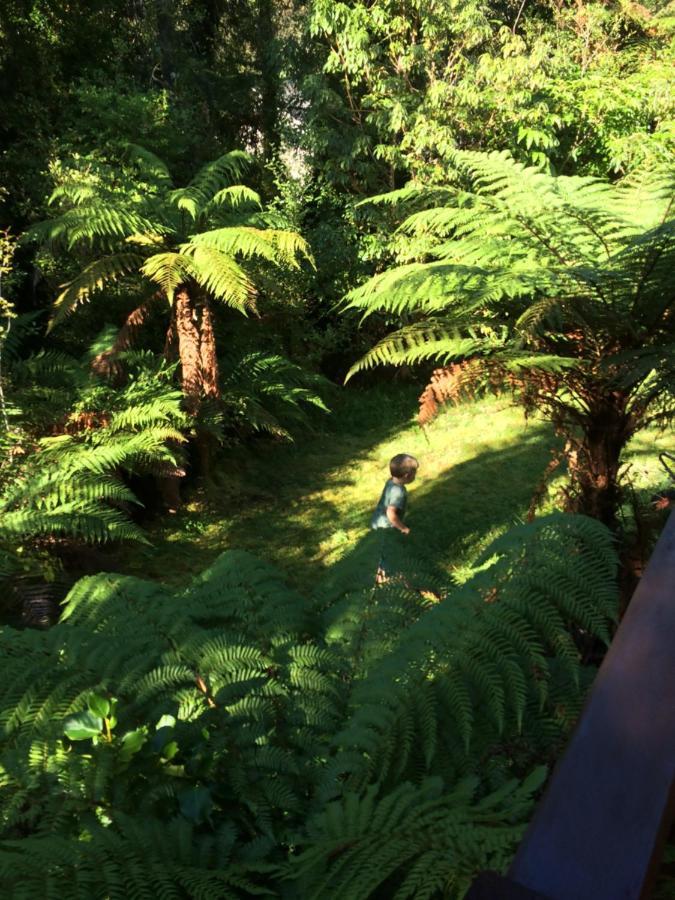 The Ferns Hideaway Villa Franz Josef Buitenkant foto